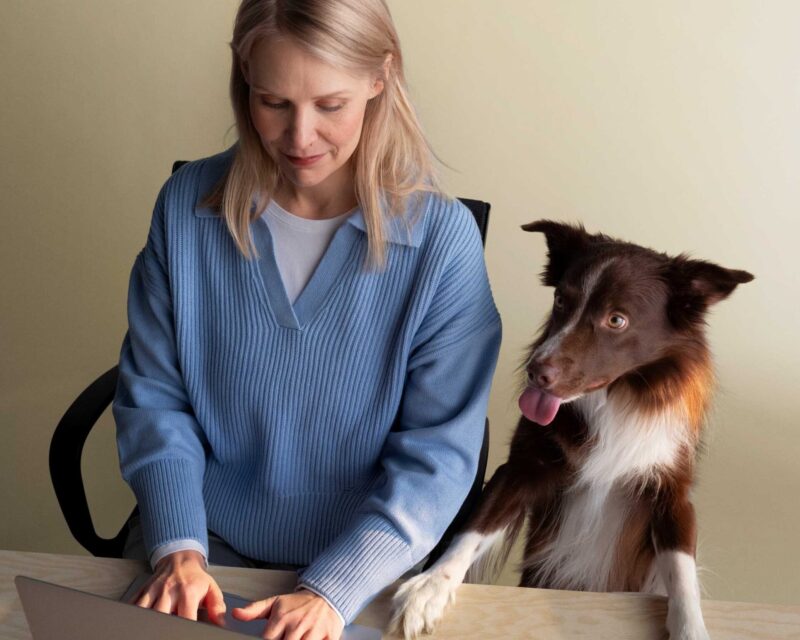 En kvinna och en hund tittar på en laptop.